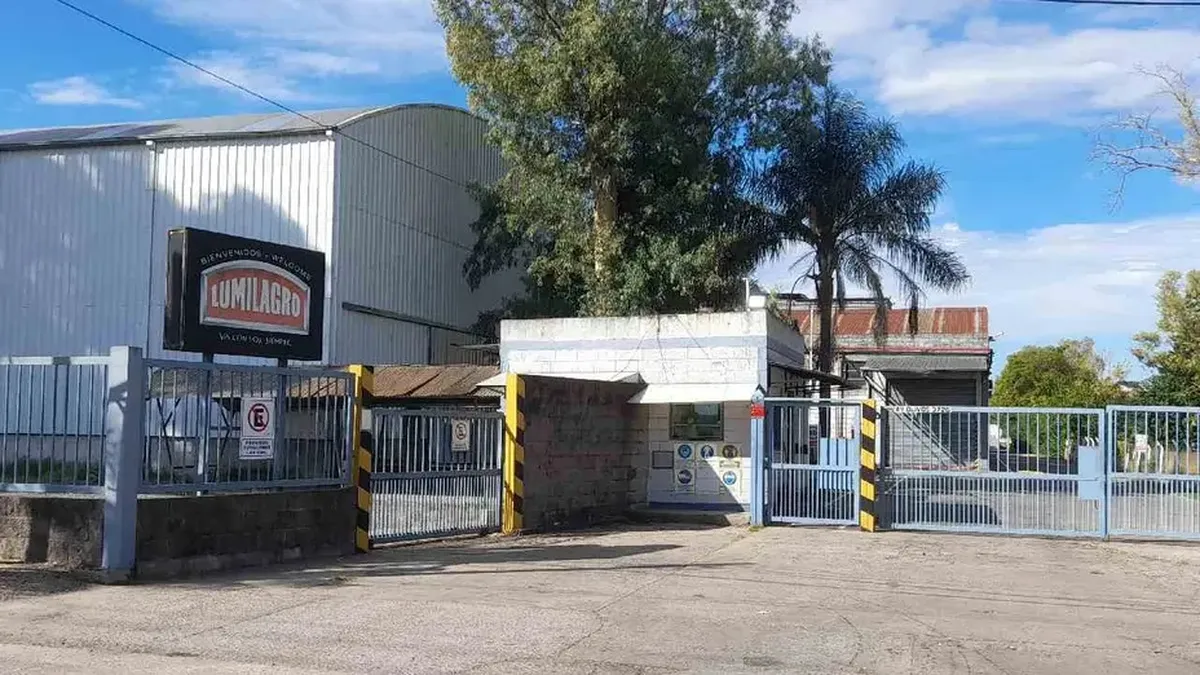 Milei destaca a Lumilagro frente al cierre de FATE.