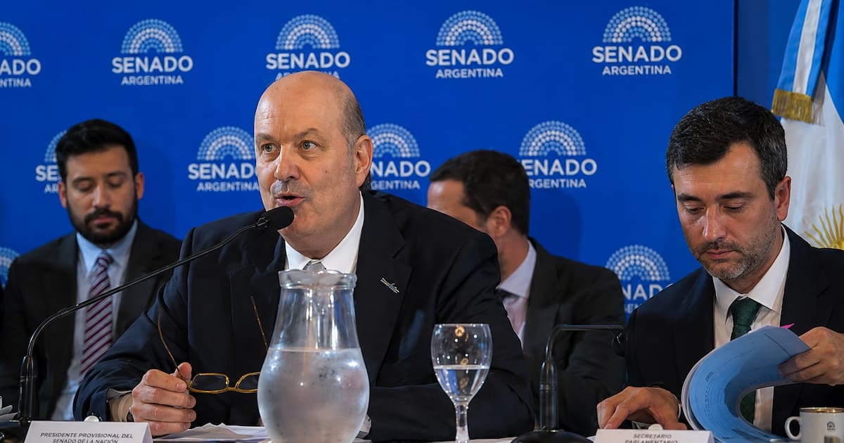 Senado debate reforma de Propiedad Privada de Sturzenegger