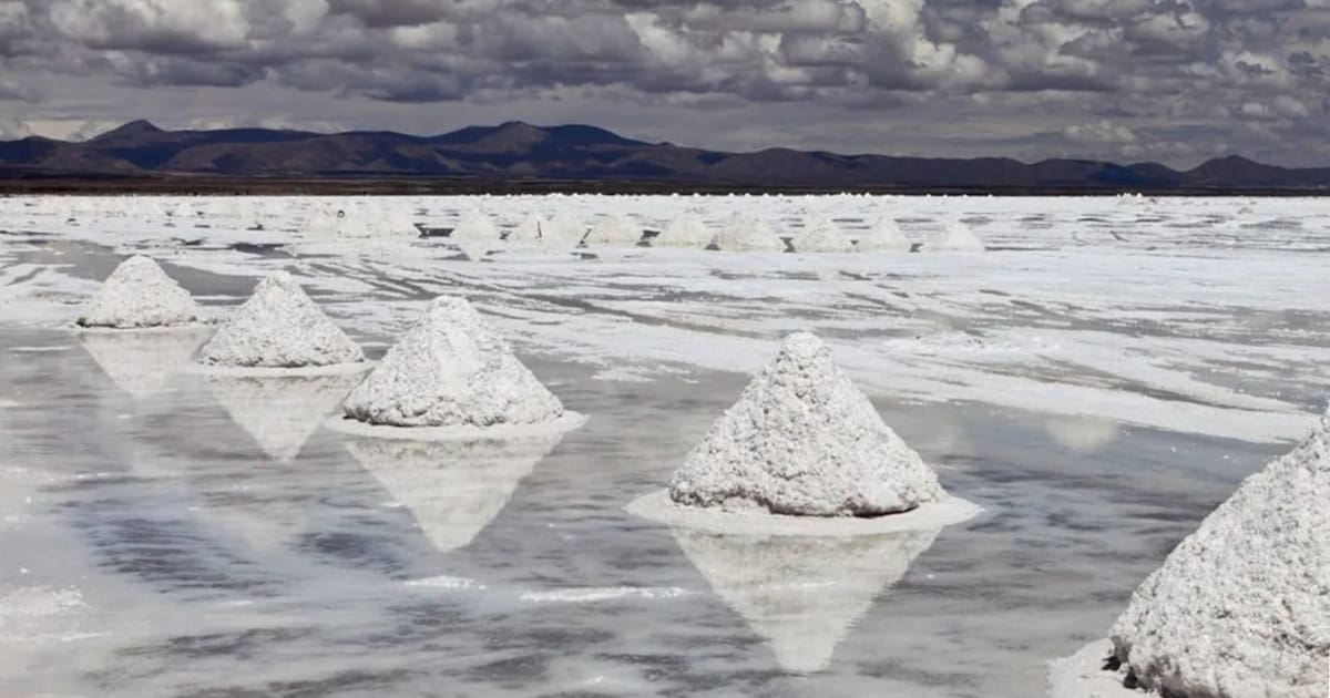 Empresa china de litio busca invertir en Argentina