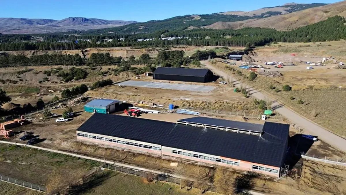 Neuquén lidera inversión por alumno según ranking de la UBA