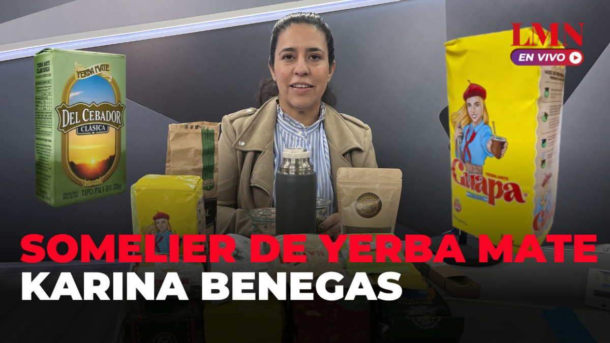 Neuquén: sommelier revela secretos de la cata de yerba mate