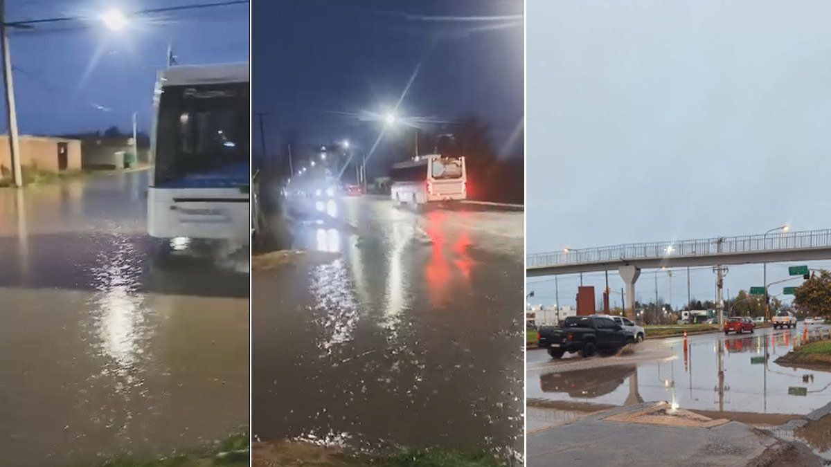 Neuquén tras las intensas lluvias: así está la provincia
