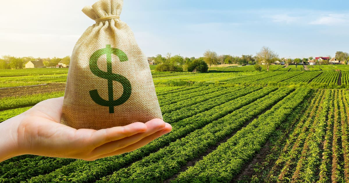 Retenciones al agro: cuánto aportará en el segundo semestre