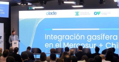 Cono Sur reduce dependencia de fertilizantes con gas de Vaca Muerta