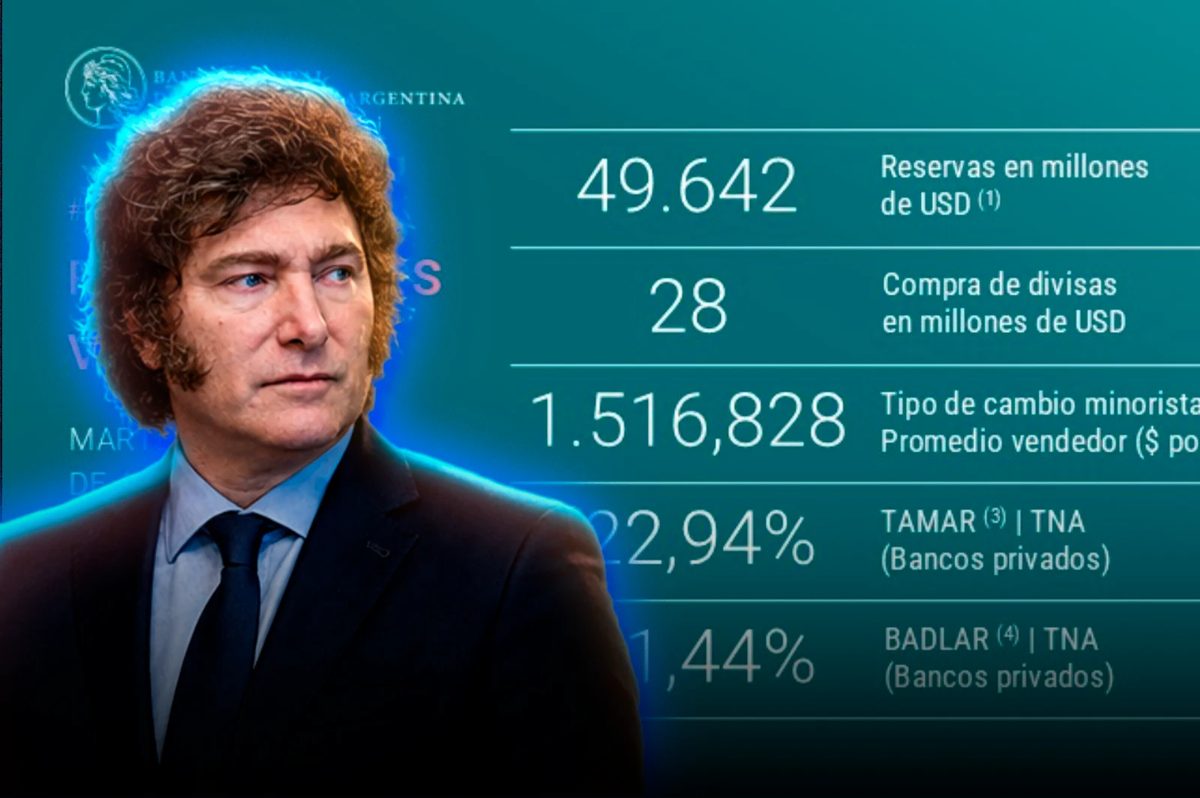 Milei logra el mayor nivel de reservas del Banco Central desde 2019