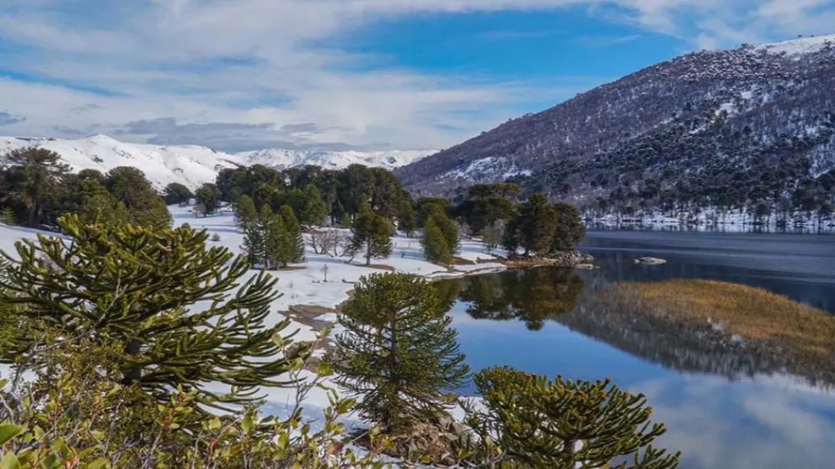 Ley de Tierras: Neuquén mantiene control sobre su territorio