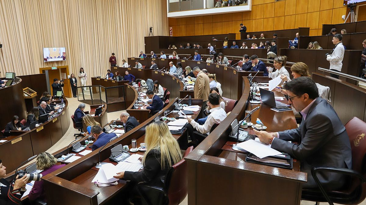 Legislatura de Neuquén aprobó protocolo de narcotest para diputados