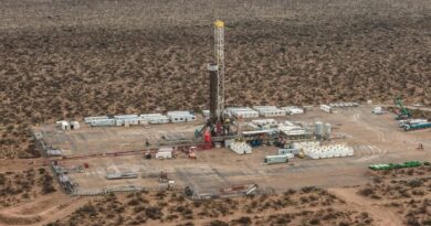 Vaca Muerta impulsa récord histórico de producción de petróleo en Argentina