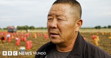 China transforma zona rural en centro tecnológico