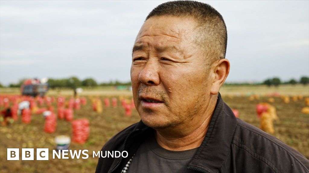 China transforma zona rural en centro tecnológico