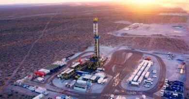 Crisis en Arabia Saudita impulsa demanda de Vaca Muerta