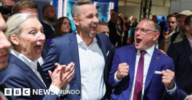 Alemania: ultraderecha AfD gana elecciones en el este