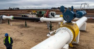 Vaca Muerta: Argentina busca posicionarse en cumbre energética de Brasil