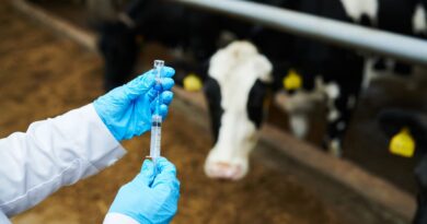 Laboratorio argentino invierte u$s 100 millones en planta de vacunas