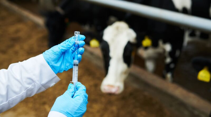 Laboratorio argentino invierte u$s 100 millones en planta de vacunas