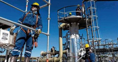 Neuquén creó 148 empresas en era Milei, excepción nacional
