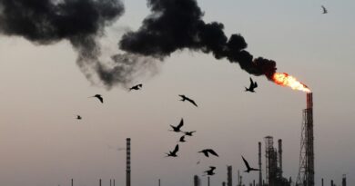 Precio del petróleo sube ante posibles negociaciones entre Estados Unidos e Irán