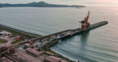 Puerto de San Vicente como alternativa para producción neuquina