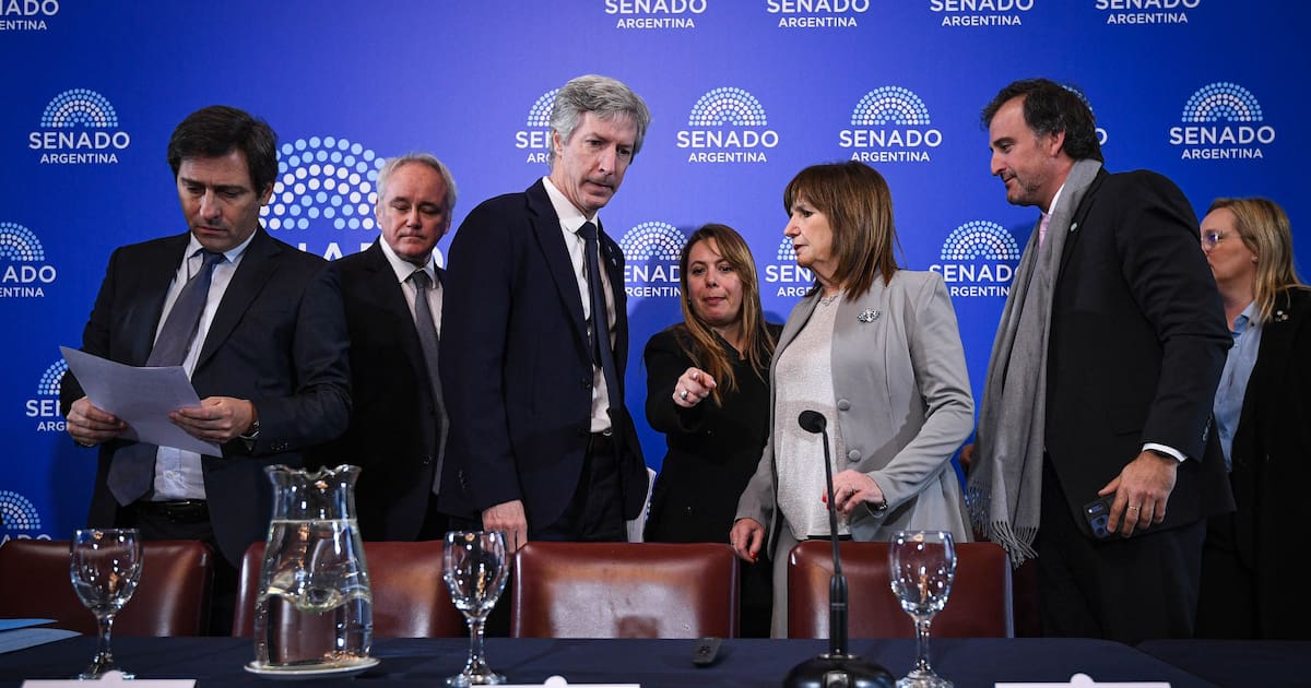 Bullrich prepara megasesión con reforma del BCRA y biocombustibles