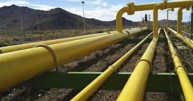 El gas de Vaca Muerta: del subsuelo a los hogares