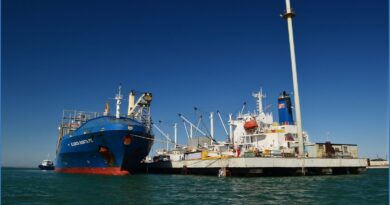 Puerto San Antonio Este impulsa empleo por boom de Vaca Muerta
