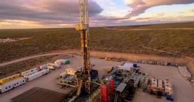 Pluspetrol se incorpora a dos áreas de exploración en Vaca Muerta