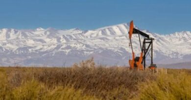 Vaca Muerta Mendoza acelera operaciones de petróleo no convencional