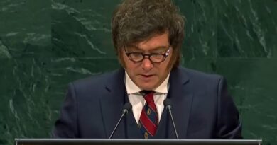Milei pide a empresarios energéticos invertir en Vaca Muerta ante la ONU
