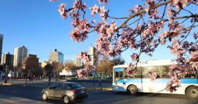 Equinoccio de primavera 2026: qué es y cuándo comienza