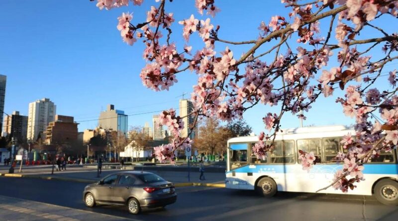 Equinoccio de primavera 2026: qué es y cuándo comienza