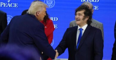 Argentina se suma a plan estadounidense para frenar sobreproducción china