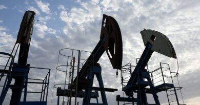 Petróleo cae tras anuncio de tregua energética de Trump
