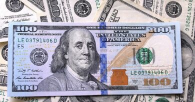 Exdirector del BCRA alerta sobre el dólar en año electoral