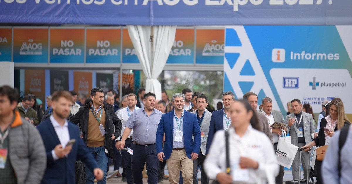 AOG Patagonia presenta balance: competitividad en la industria