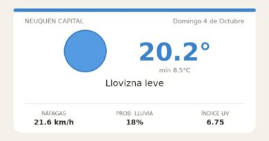 Clima en Neuquén Capital del Domingo 4 de Octubre: máxima de 20.2°C y cielo llovizna leve