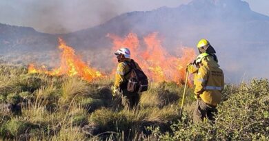 El Niño traerá abundante agua pero nuevos riesgos de incendios a Neuquén