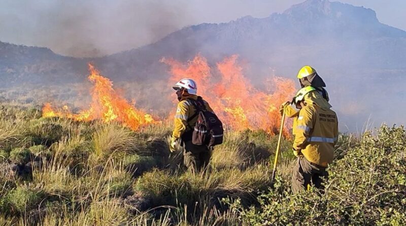 El Niño traerá abundante agua pero nuevos riesgos de incendios a Neuquén