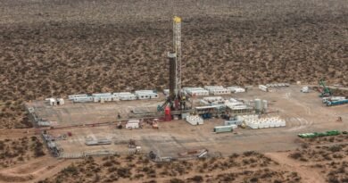 Geopark se adjudicó bloque en Vaca Muerta por US$95 millones