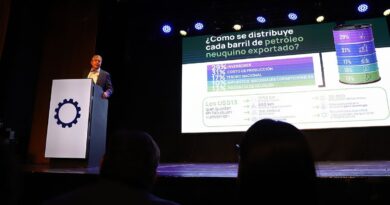 Neuquén recibe menor porción de petróleo pero asume mayor desafío